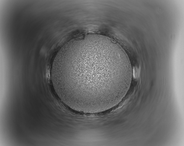 X0000098121155200804111109