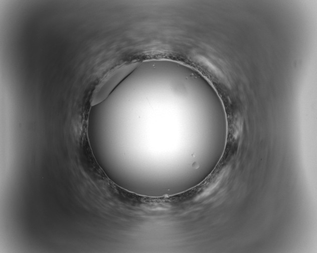 X0000098121157200804111109
