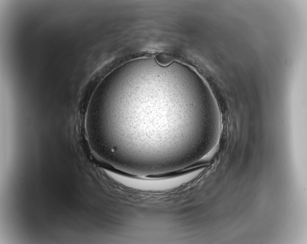 X0000098121158200804111109