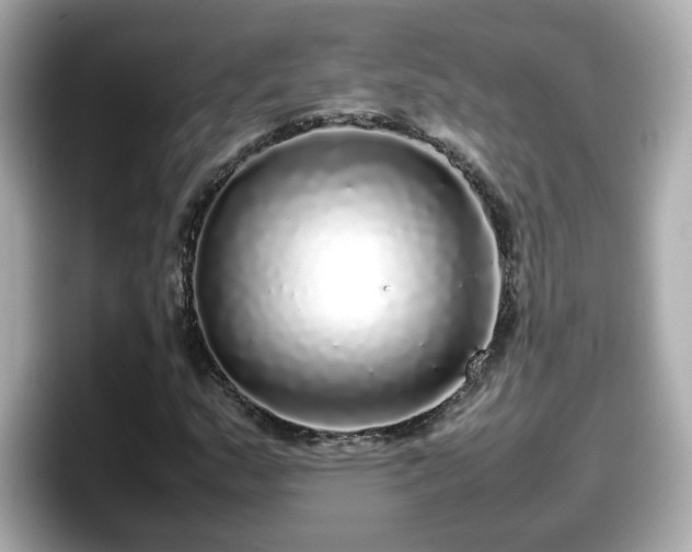 X0000098121159200804111109