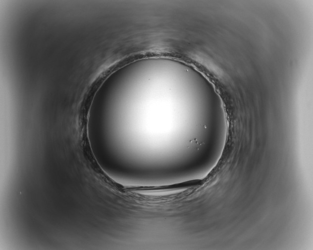 X0000098121160200804111109