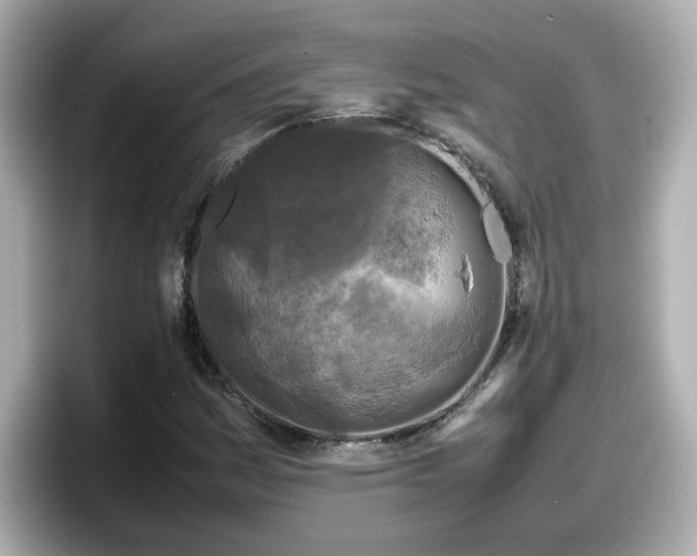 X0000098121161200804111109