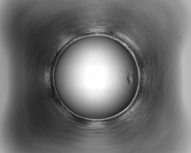 X0000098121162200804111109