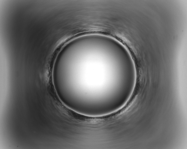 X0000098121163200804111109