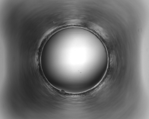 X0000098121164200804111109