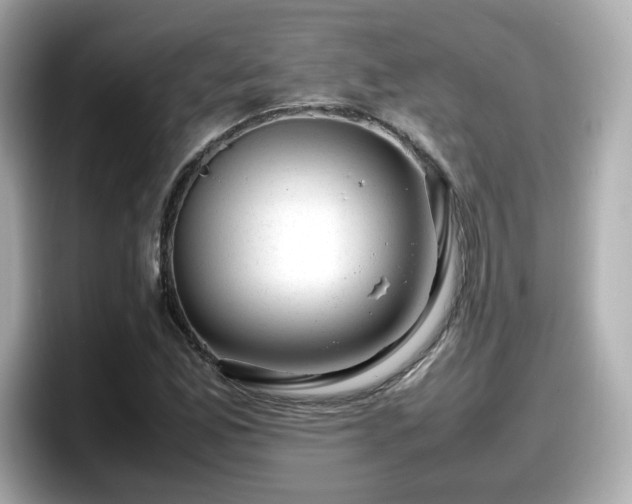 X0000098121165200804111109