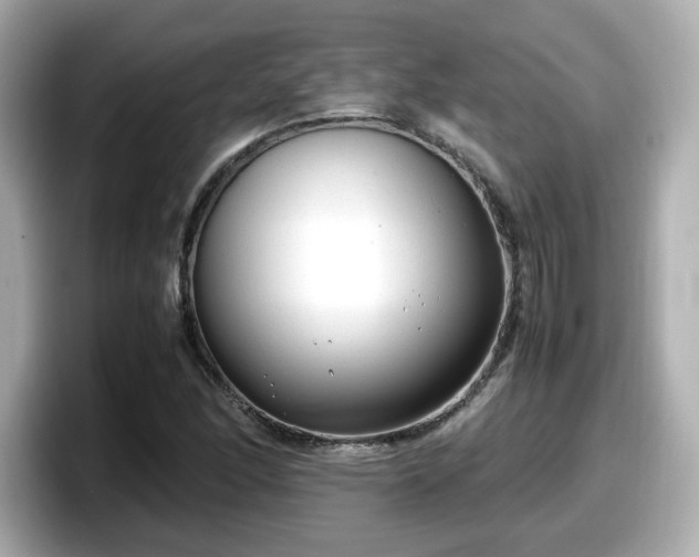 X0000098121166200804111109