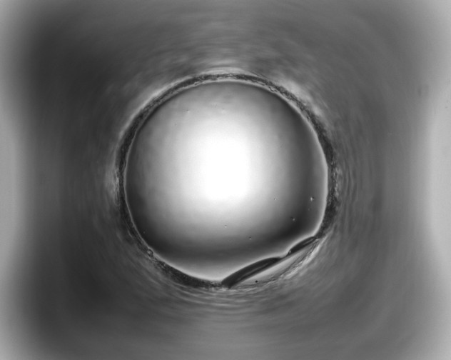 X0000098121167200804111109