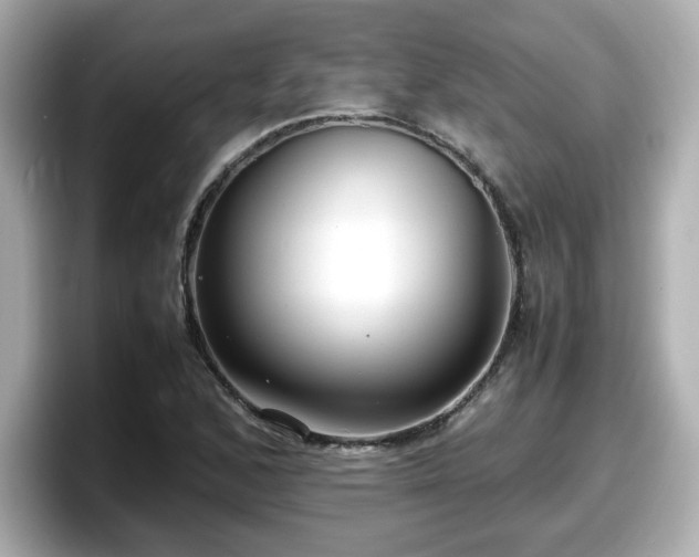 X0000098121168200804111109