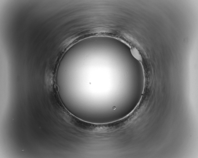 X0000098121169200804111109