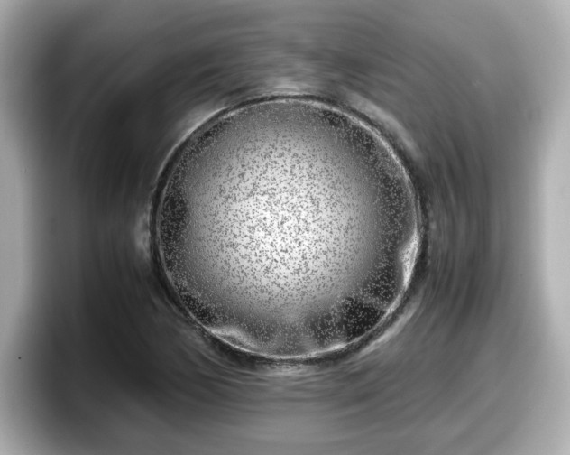 X0000098121170200804111109