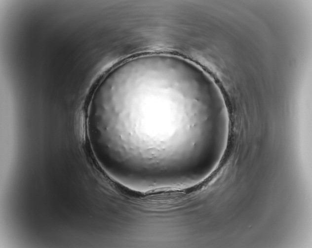 X0000098121171200804111109