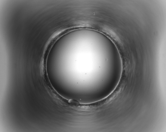 X0000098121172200804111109