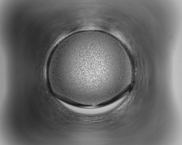 X0000098121173200804111109