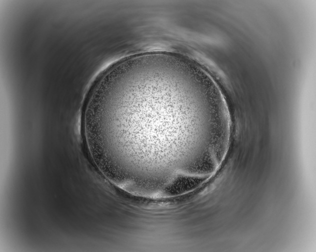 X0000098121174200804111109