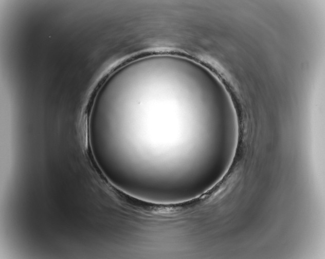 X0000098121175200804111109