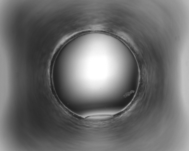 X0000098121176200804111109