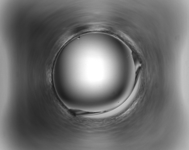 X0000098121177200804111109