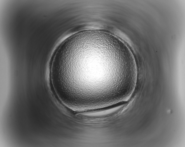 X0000098121179200804111109