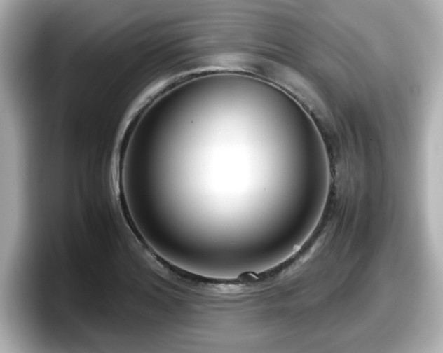 X0000098121180200804111109