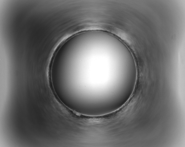 X0000098121181200804111109