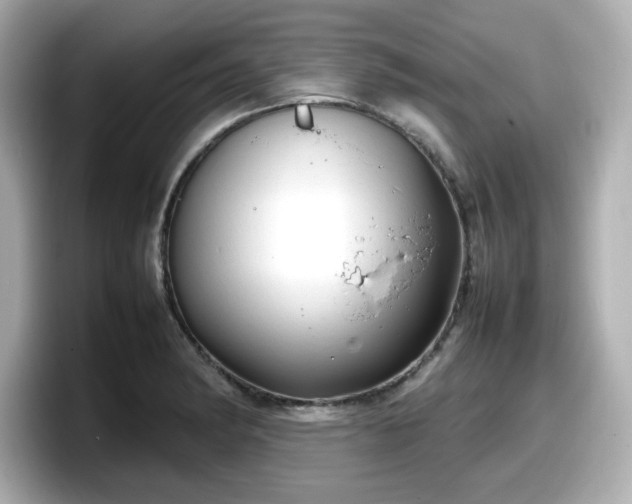 X0000098121182200804111109