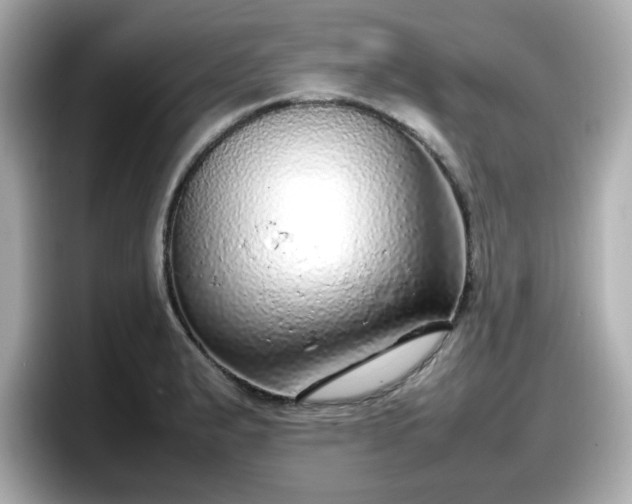 X0000098121183200804111109