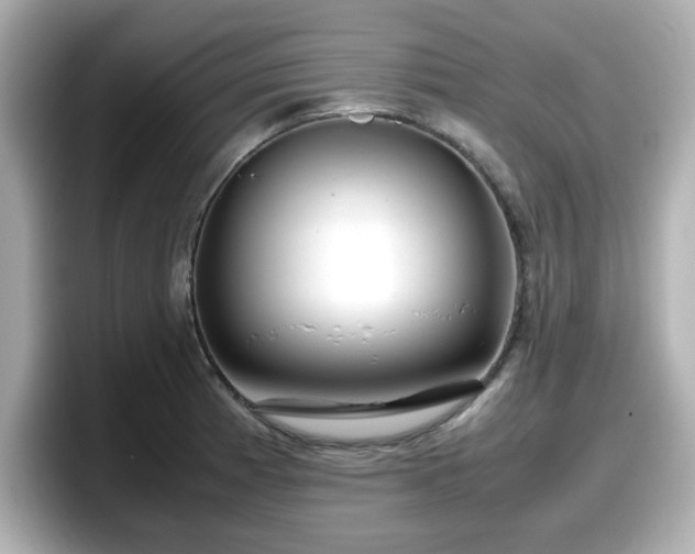 X0000098121185200804111109