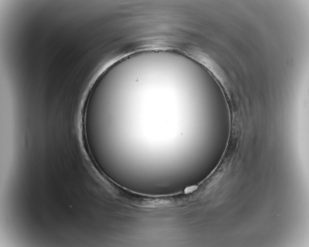X0000098121187200804111109