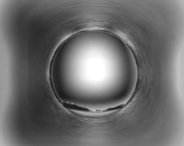 X0000098121189200804111109