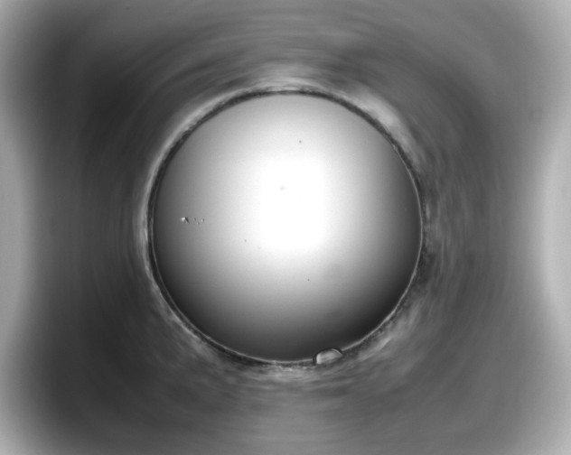 X0000098121191200804111109
