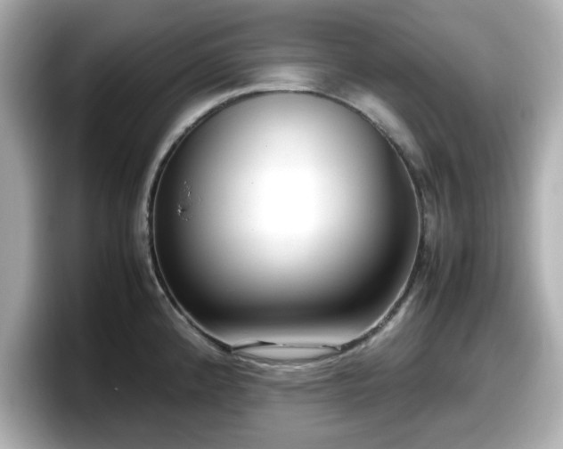 X0000098121192200804111109