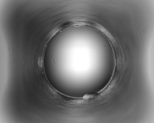 X0000098121193200804111109