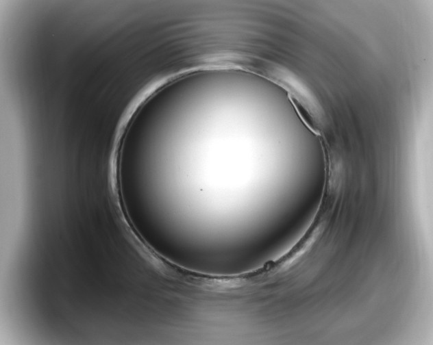 X0000098121196200804111109