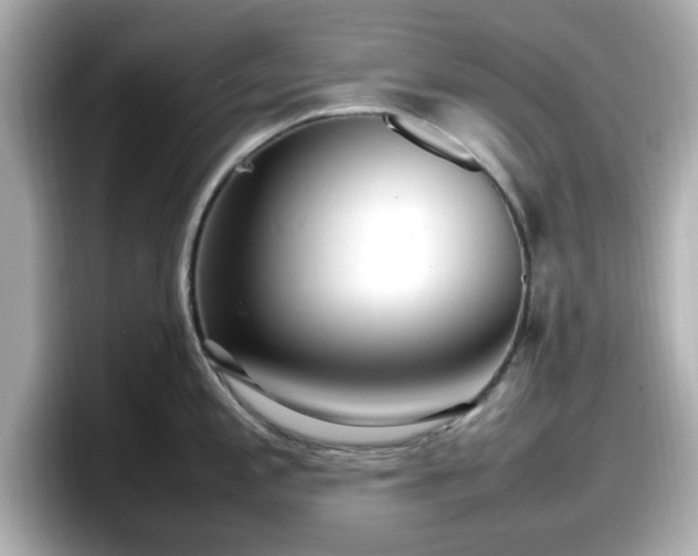 X0000098121197200804111109