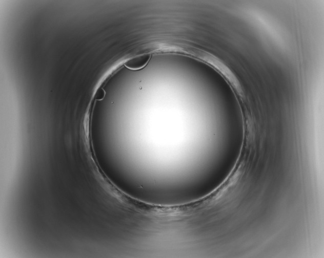 X0000098121198200804111109