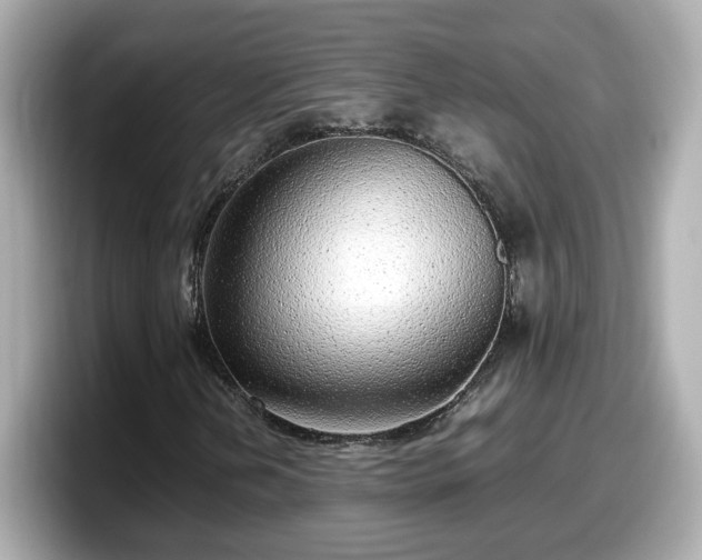 X0000098121202200804111108