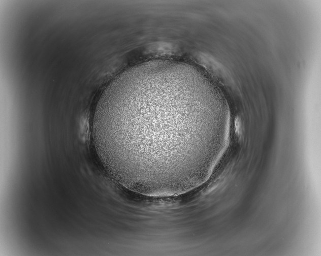 X0000098121203200804111108