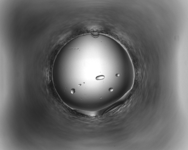X0000098121205200804111108