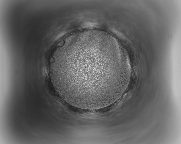 X0000098121206200804111108