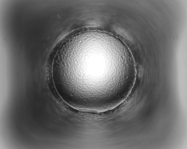 X0000098121208200804111108