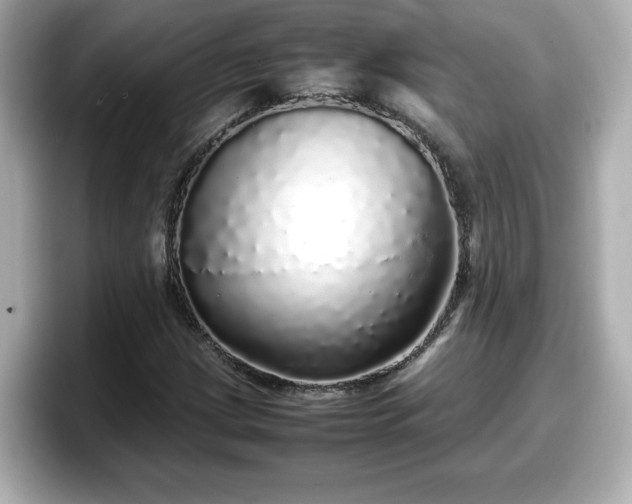 X0000098121209200804111108