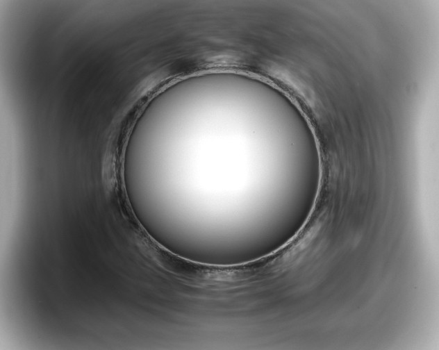 X0000098121211200804111108