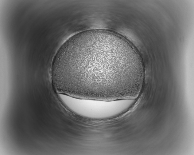 X0000098121212200804111108