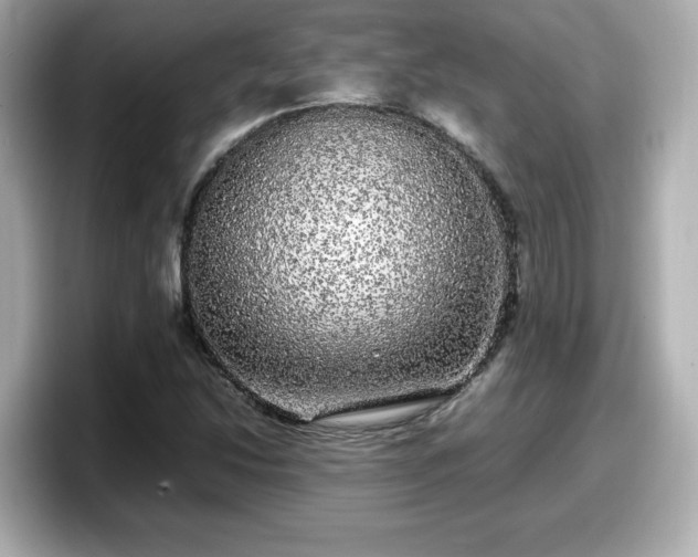 X0000098121214200804111108