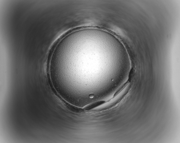 X0000098121216200804111108