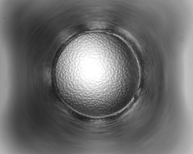 X0000098121217200804111108