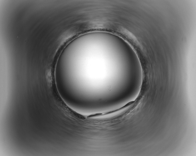X0000098121218200804111108