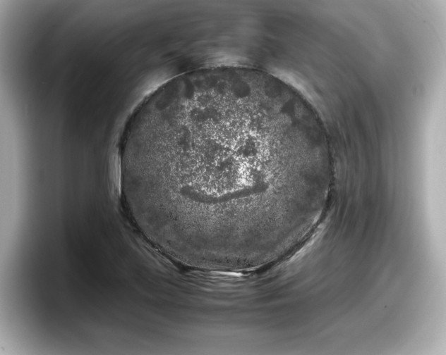 X0000098121219200804111108