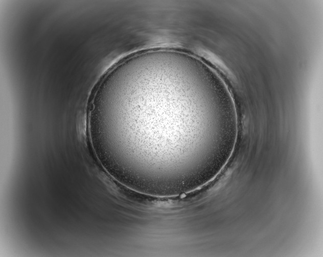 X0000098121220200804111108